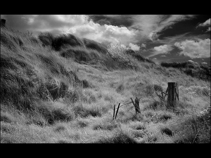 A WINDY DAY.JPG -           
